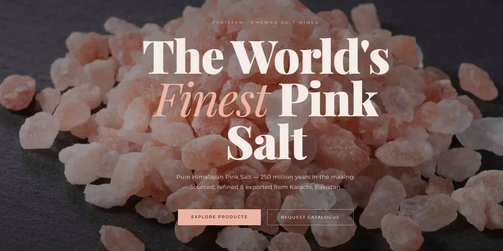 Salt Bay website built by NovaNoc